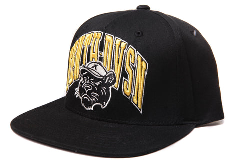 10 Deep Division Arch Snapback